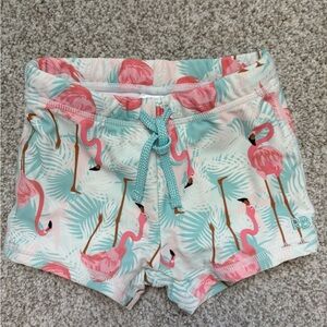 Ruffle Butts Flamingo Print European style Swim Shorts